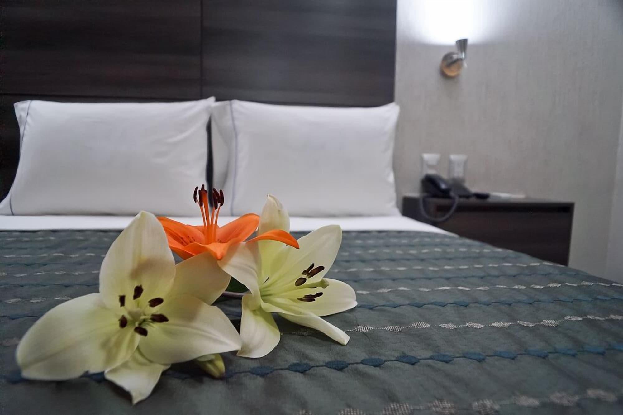 Hotel Expo Abastos Γκουανταλαχάρα Εξωτερικό φωτογραφία